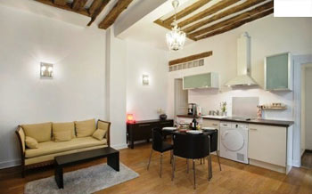 photos Paris Louvre rent apartment